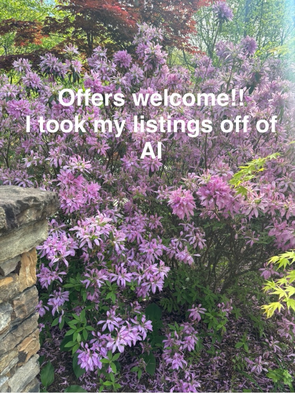 Price drops and OFFERS from app!n